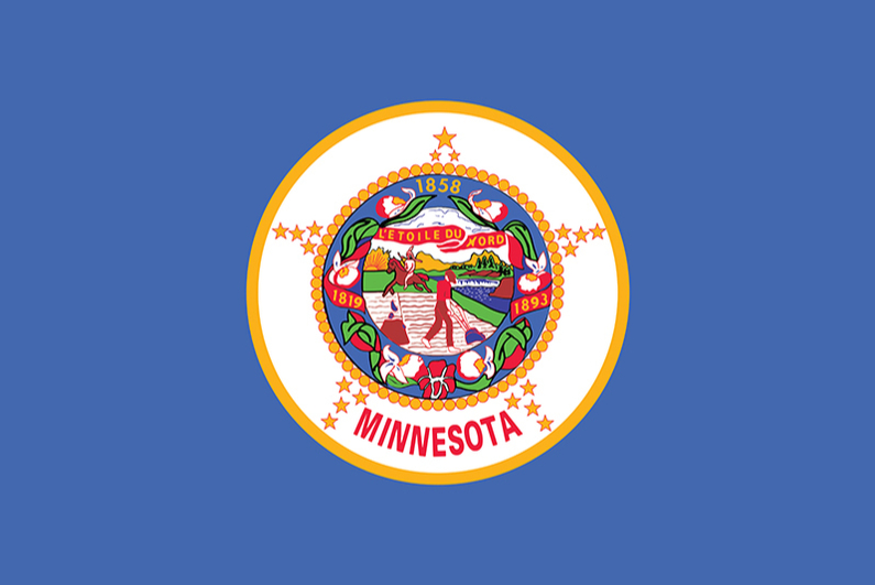 Minnesota state flag