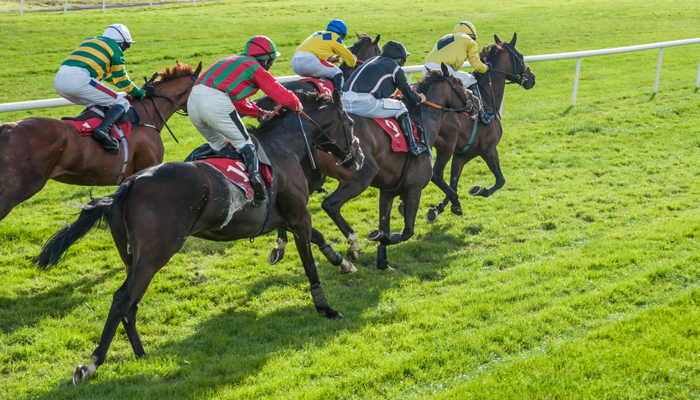 jockeys riding their race horses